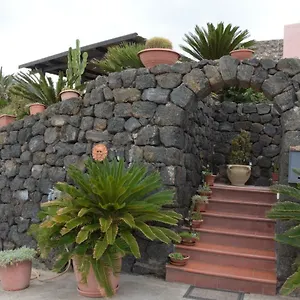 Le Due Cycas , Siba Italia
